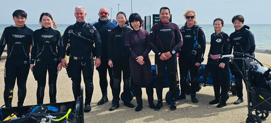 Rye Pier Diving Guide (Melbourne) – Seahorses, Conditions & Local Tips