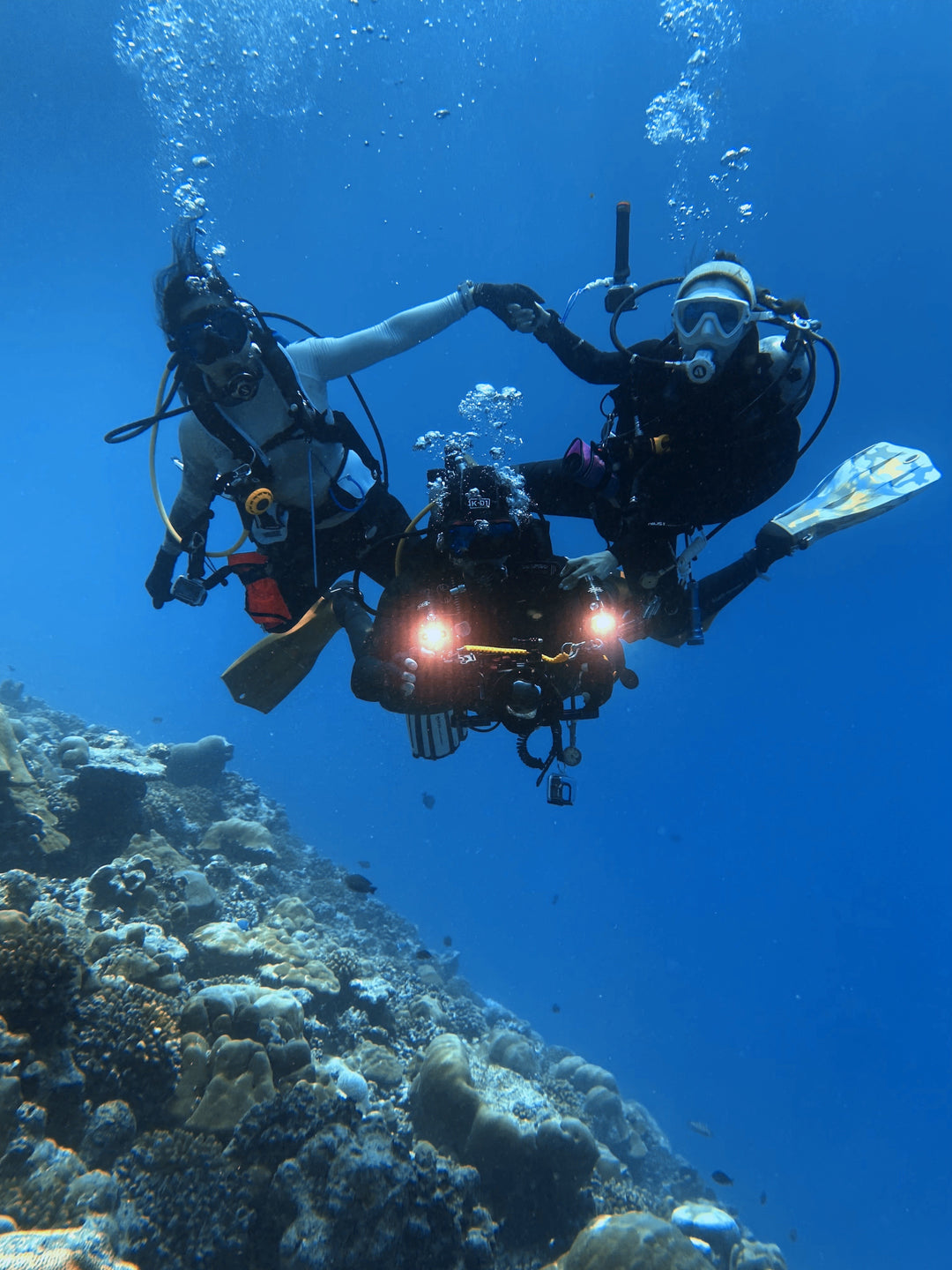 Dive Into Fun: Melbourne's Underwater Playground Awaits!