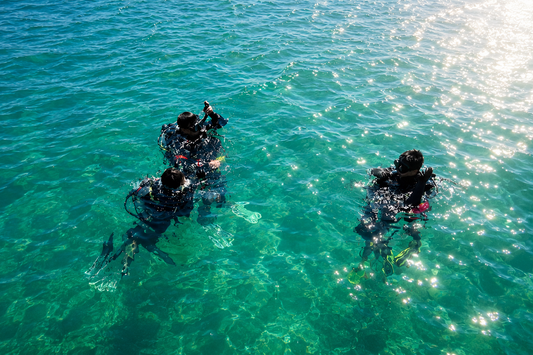 Try Scuba Diving Melbourne
