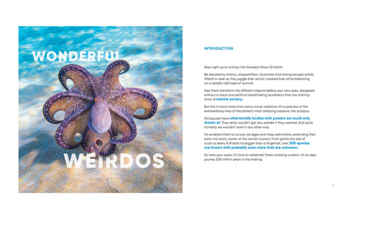 Octopuses - Underwater Wonders by Sheree Marris