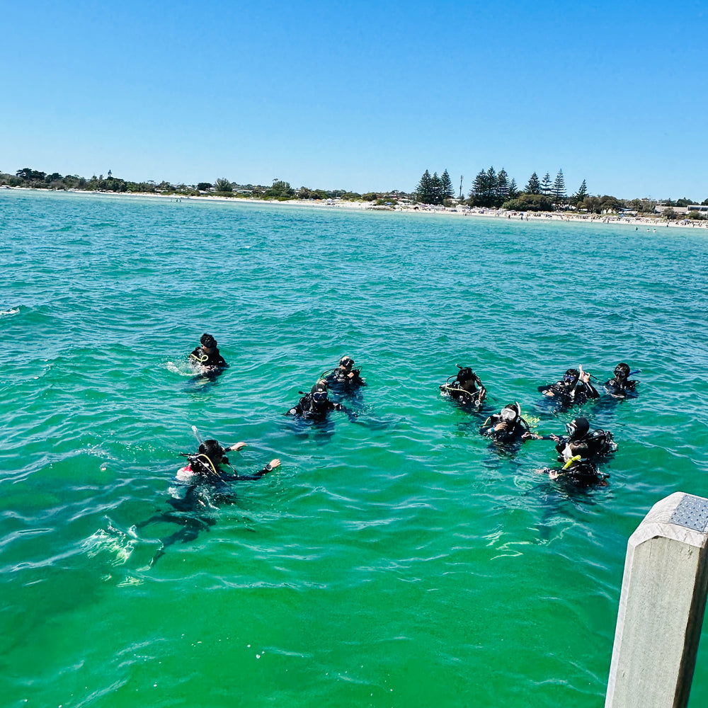 Try Scuba - Half Day Experience