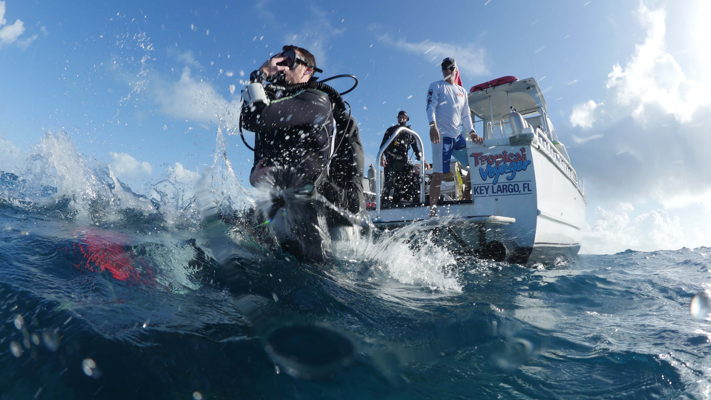 Open Water Scuba Diver Course
