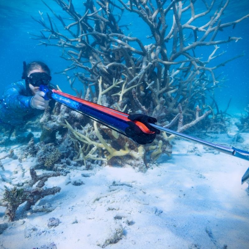 Ocean Hunter SGS speargun in use underwater
