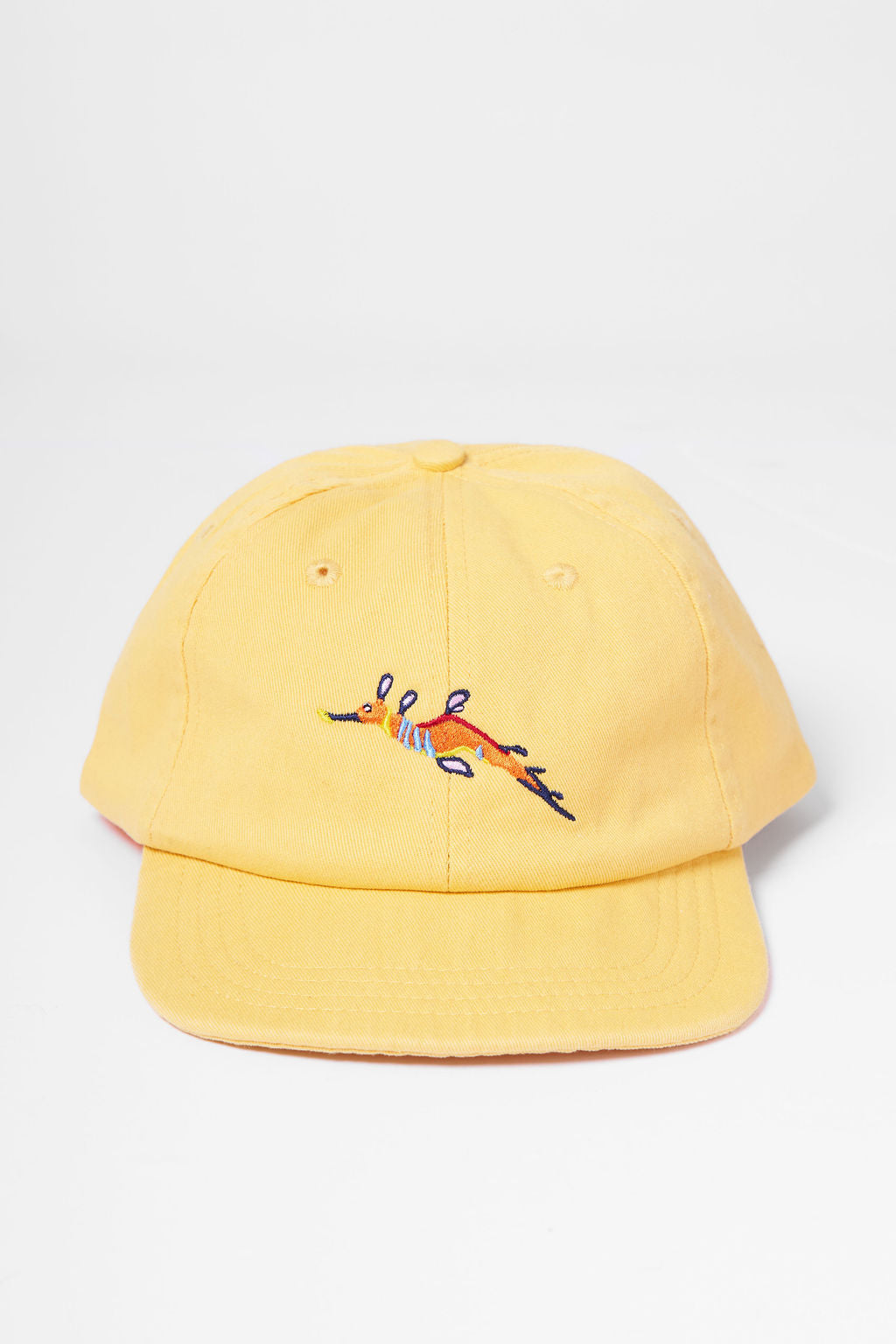 Protect What You Love Weedy Seadragon Flat Peak Cap — Faded Yellow, front view