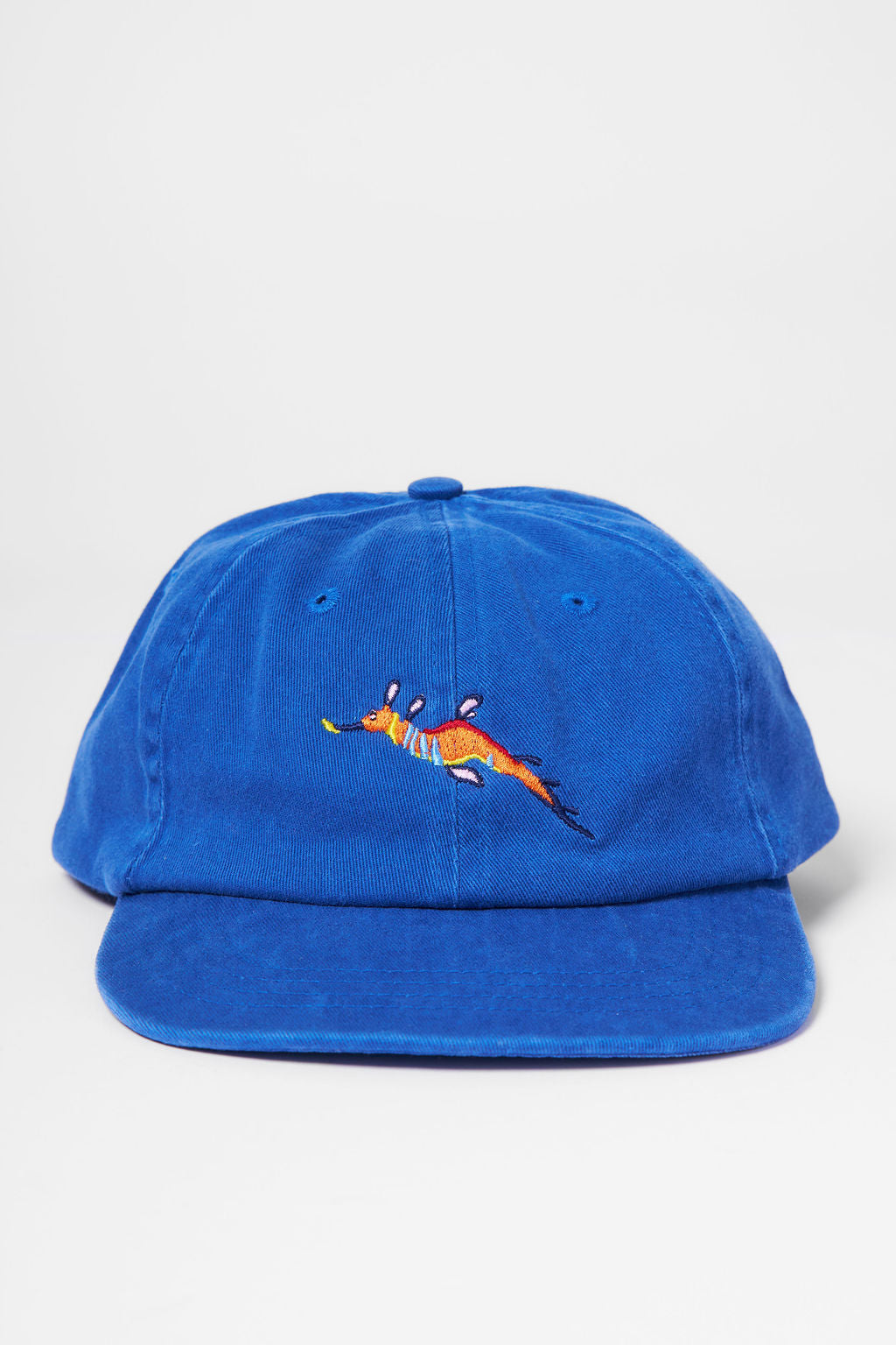 Protect What You Love Weedy Seadragon Flat Peak Cap — Royal Blue, front view