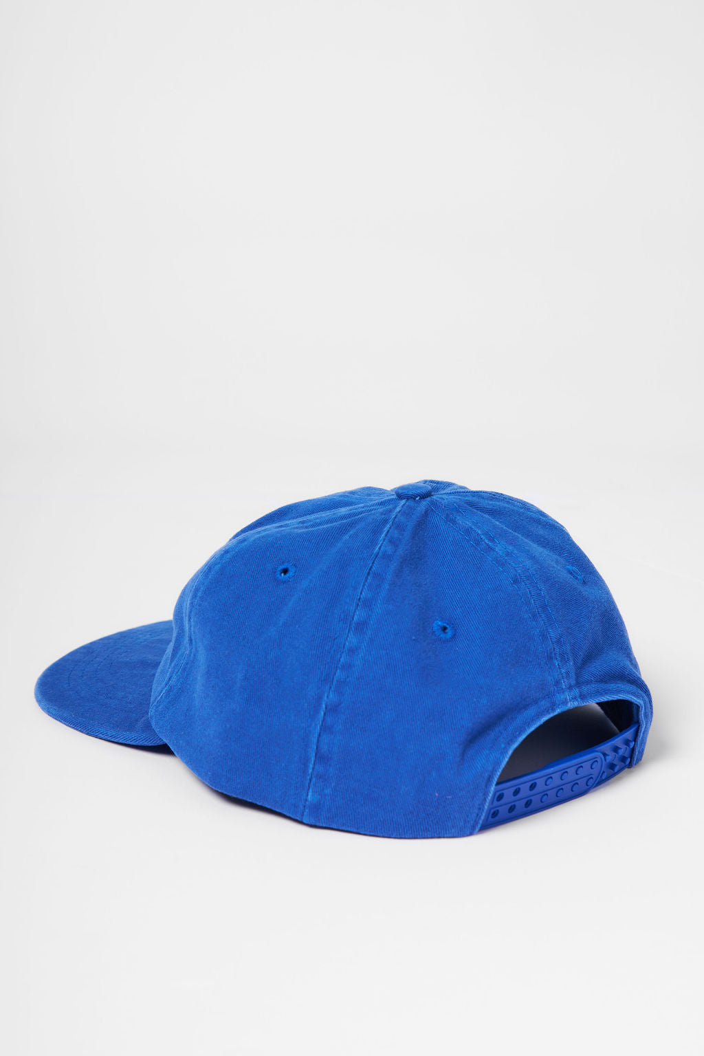 Protect What You Love Weedy Seadragon Flat Peak Cap — Royal Blue, rear closure