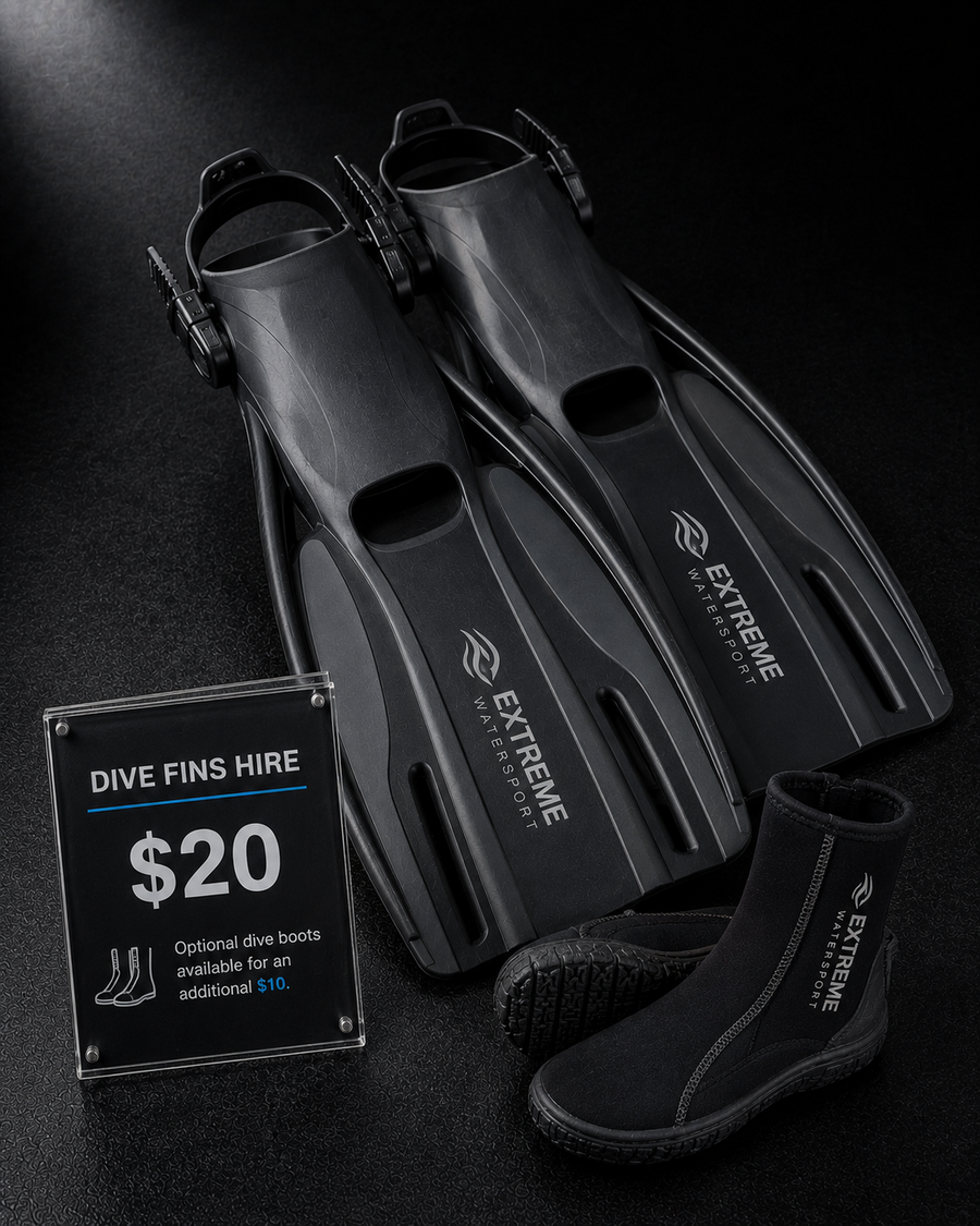 Dive Fins Hire